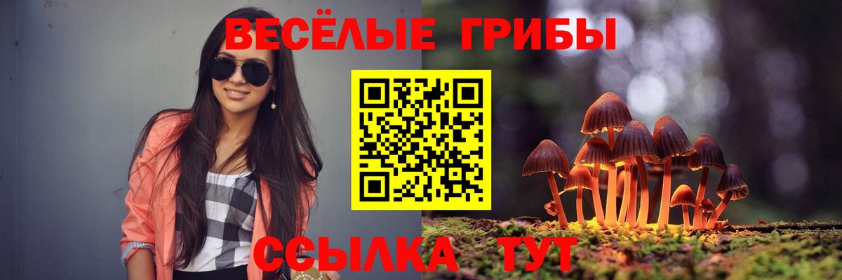 где можно купить наркотик  Псилоцибиновые грибы мицелий  Вход с VPN  Сосновоборск 